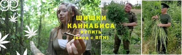 гашик Бронницы