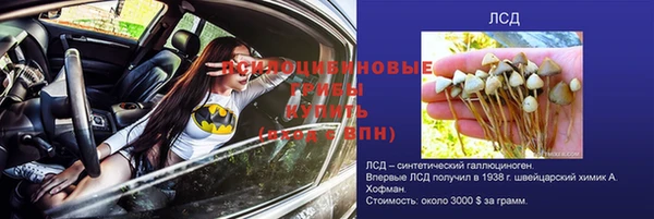 мяу мяу мука Бугульма