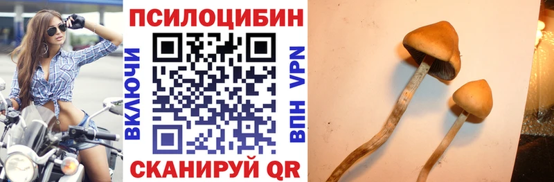 Галлюциногенные грибы MAGIC MUSHROOMS купить наркоту Кологрив